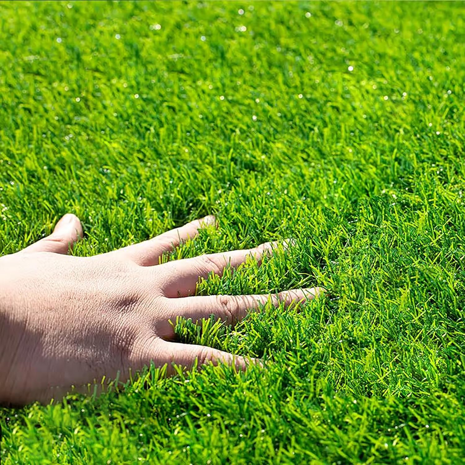人工芝 ロール 2mx5m リアル感 芝丈30mm 高耐久 透水タイプ 防草シート